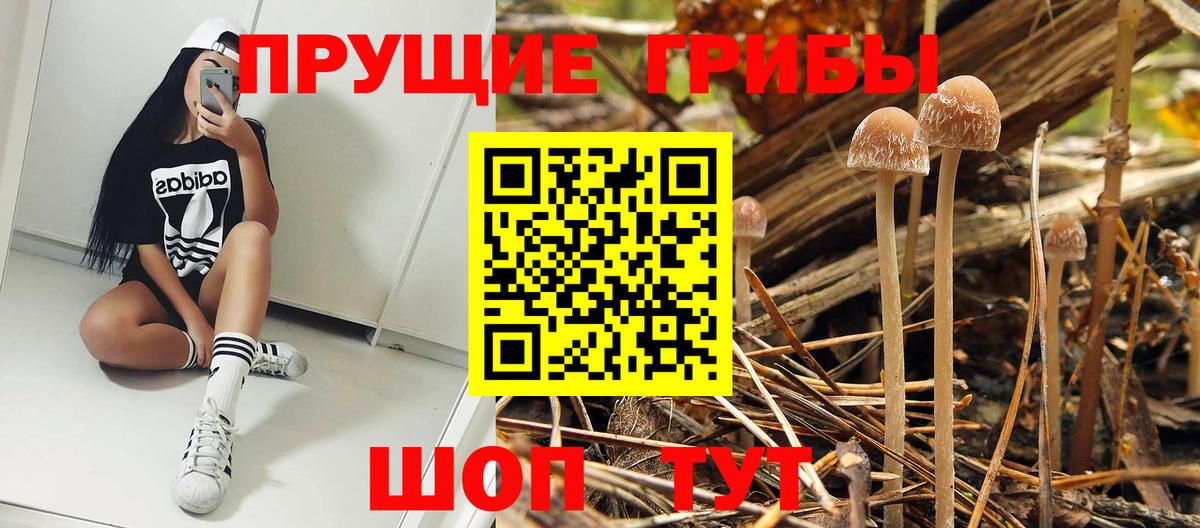 Галлюциногенные грибы ЛСД  Вход с VPN  Псилоцибиновые грибы мицелий  что такое наркотик  Краснотурьинск 